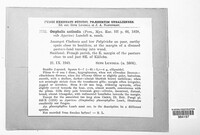 Image Associated With the Occurence